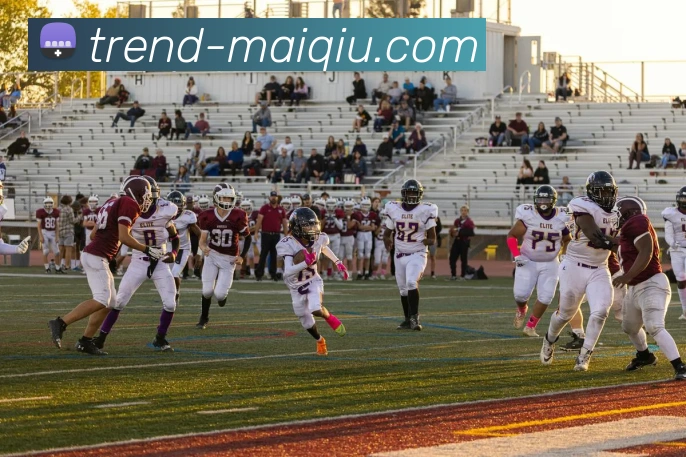 App Interface Preview